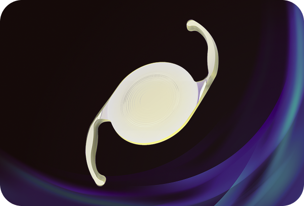 클라레온 팬옵틱스 프로 사진